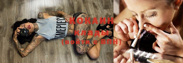 бошки Магас