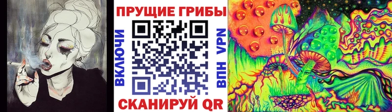 Галлюциногенные грибы Magic Shrooms Эртиль